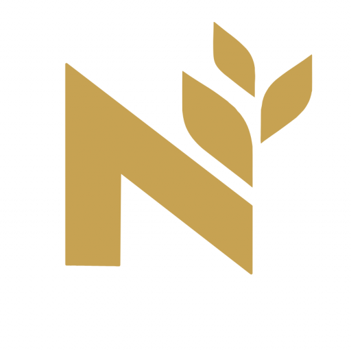 logo novamedic